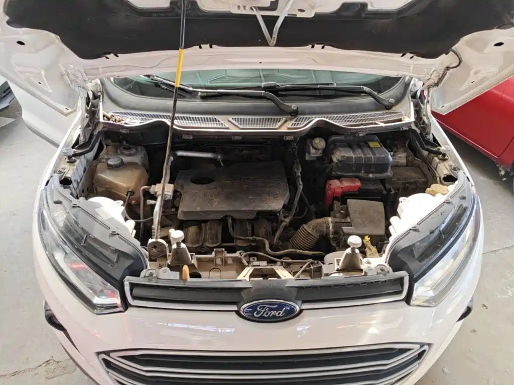 Ford Ecosport 2017 — фото 20