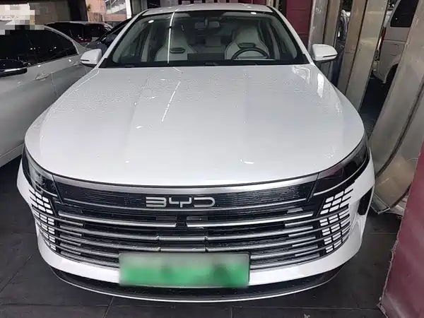 BYD Destroyer 05 2024