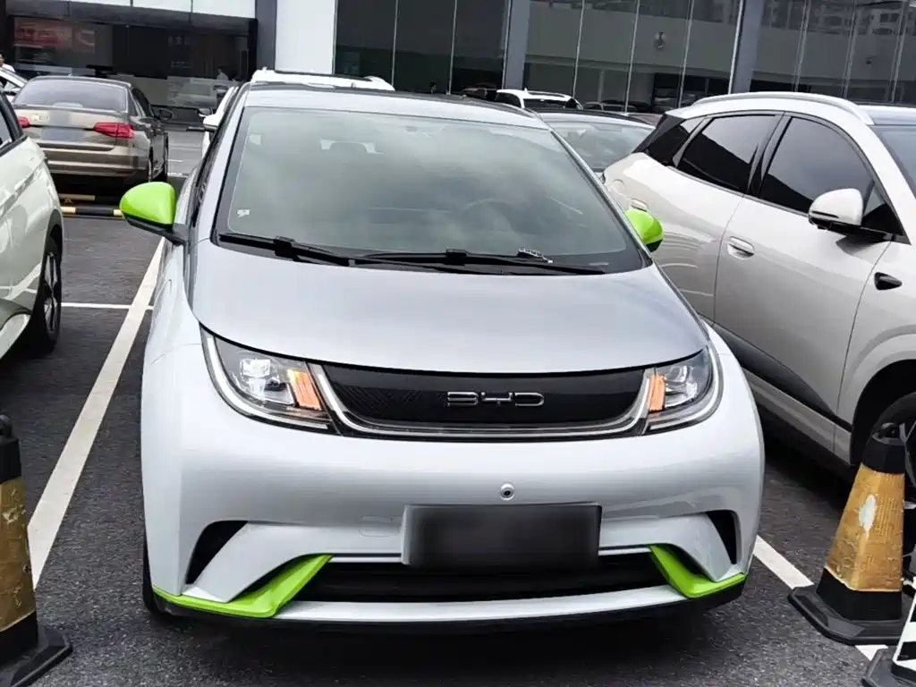 BYD Dolphin 2022