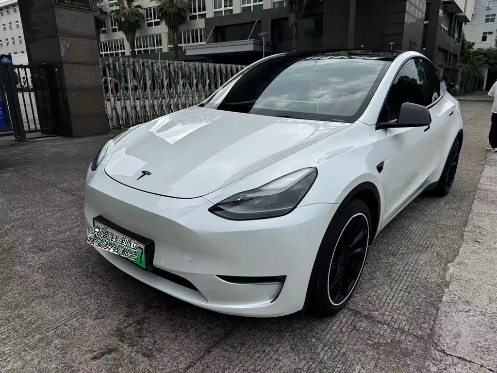 Tesla Model Y 2021 — фото 1