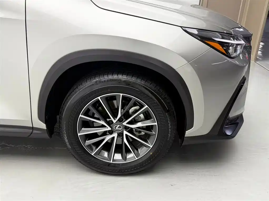 Lexus NX 2024 — фото 11