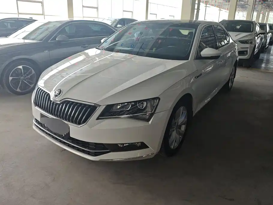 Skoda Speedy 2018