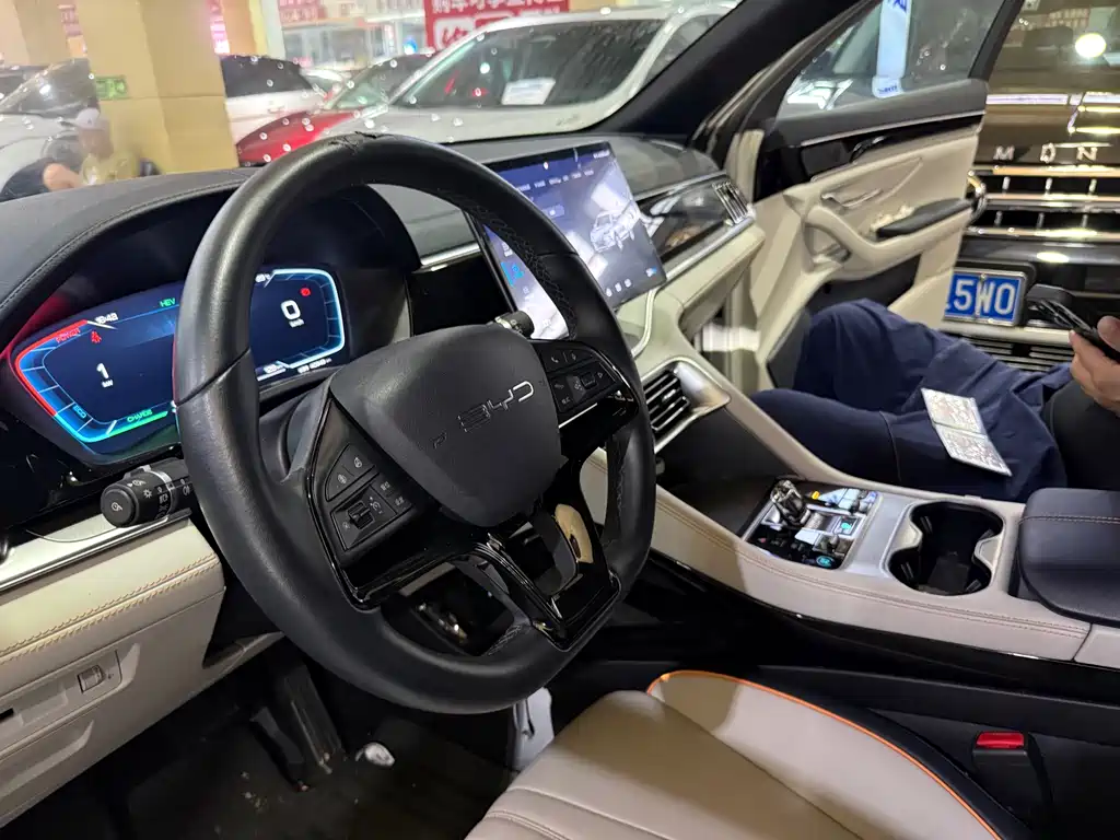 BYD PLUS New Energy 2024 — фото 10