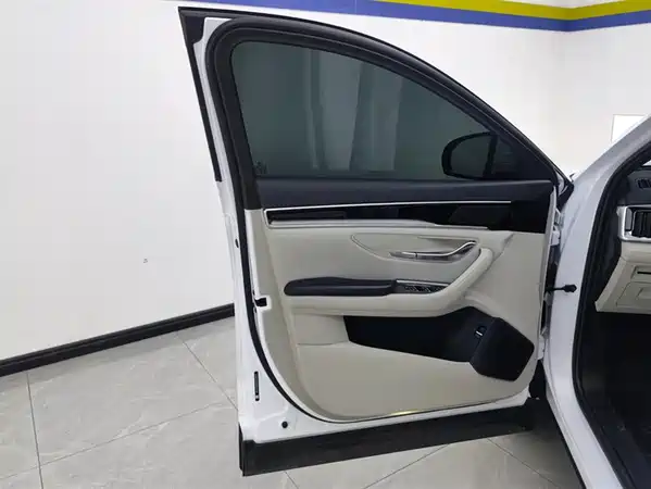 BYD Song PLUS New Energy 2024