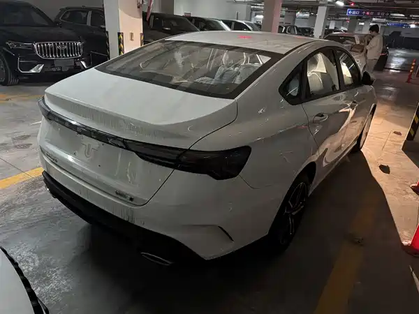Geely Binrui 2024