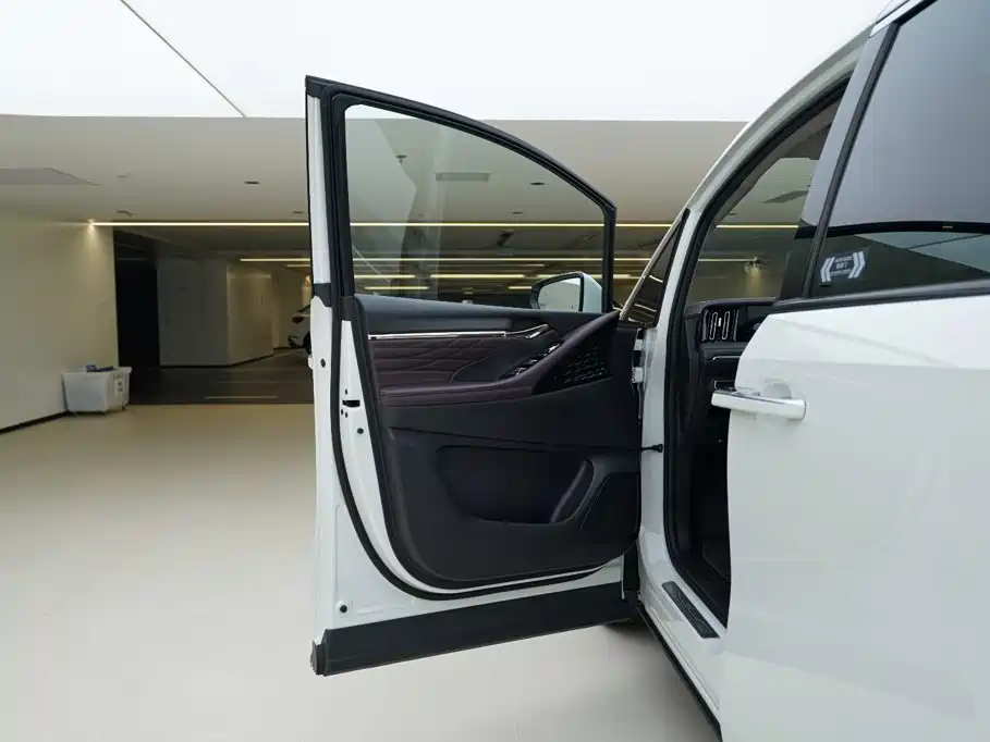 GAC Trumpchi M8 2024 — фото 17