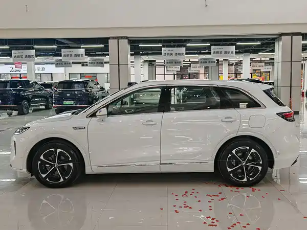 Shangjie H5 2025