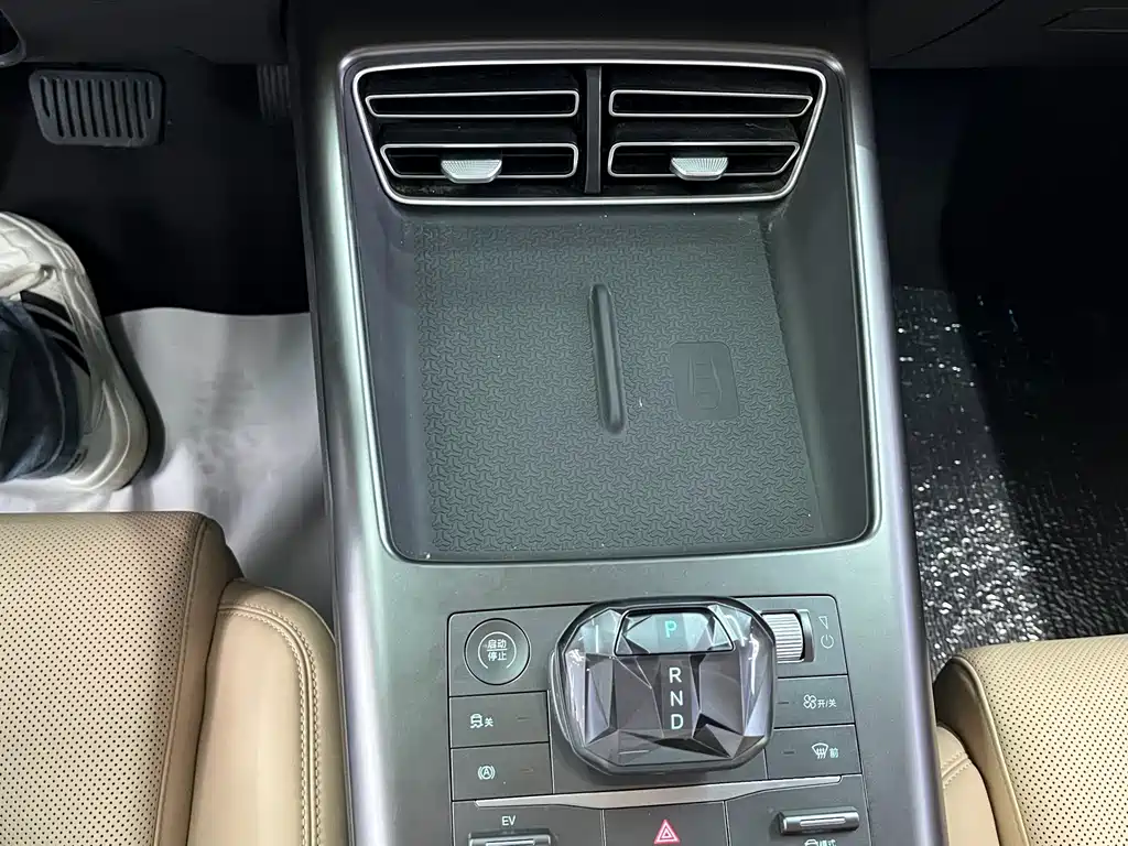 BYD Song Pro New Energy 2024 — фото 12