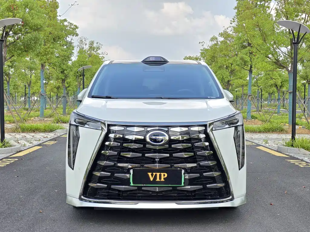 GAC Motor Xiangwang M8 2025 — фото 2