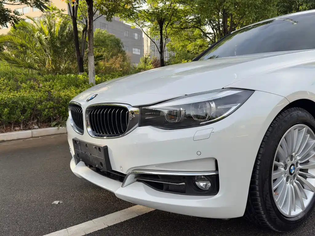 BMW 3 Series GT 2017 — фото 14