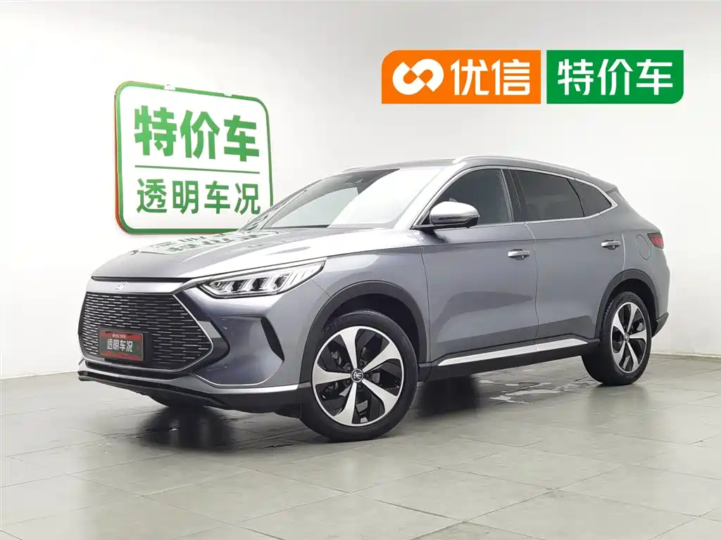 BYD PLUS New Energy 2022 — фото 1