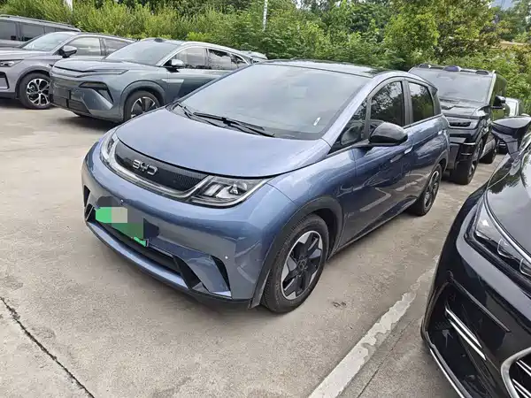 BYD Dolphin 2024