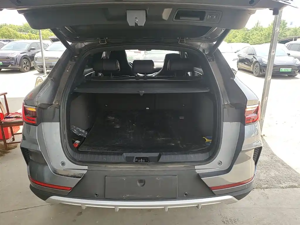 BYD PLUS New Energy 2022 — фото 19