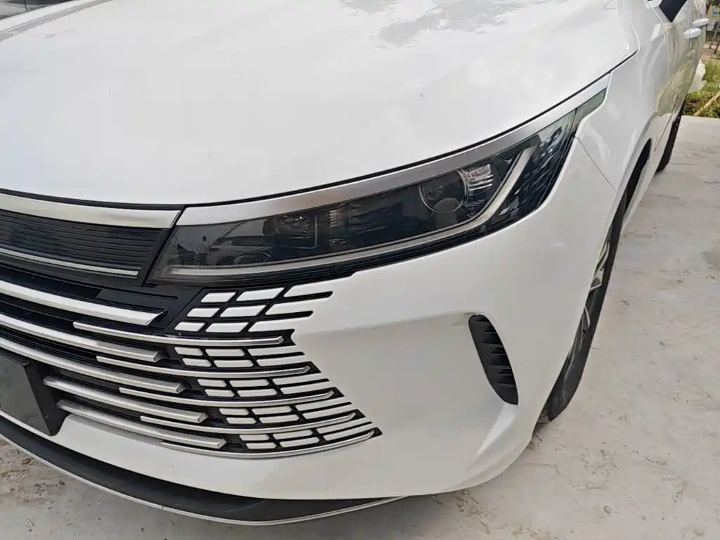 BYD Destroyer 05 2022 — фото 24