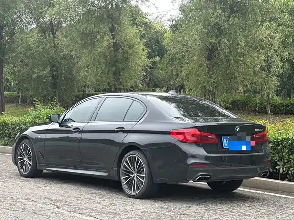 BMW 5 Series 2019