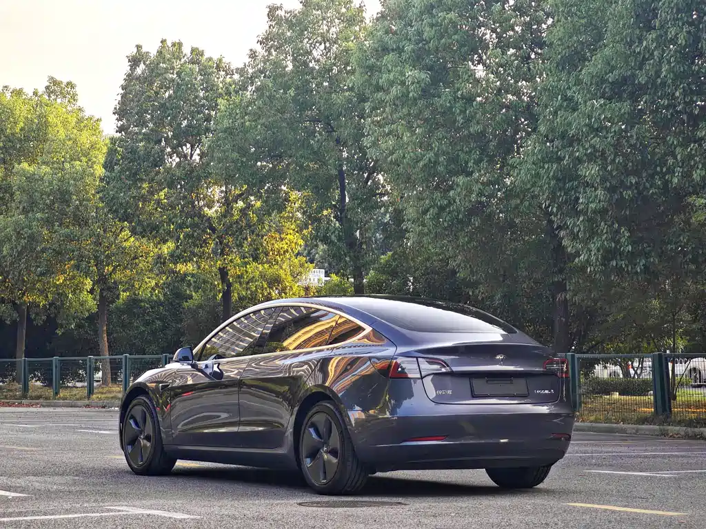Tesla Model 3 2020 — фото 8