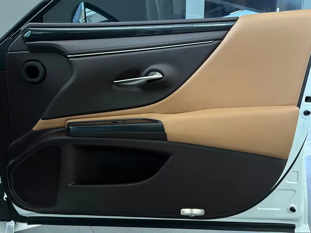 Lexus ES 2020 — фото 14