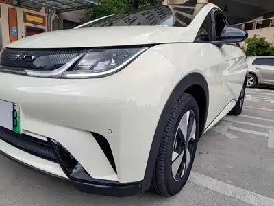 BYD Dolphin 2024
