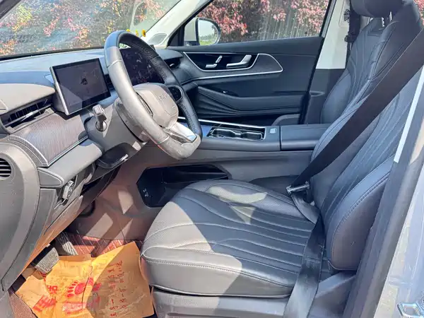 Chery Fengyun T9 2024