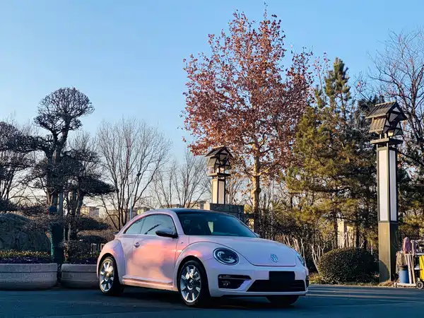 Volkswagen Beetle 2015