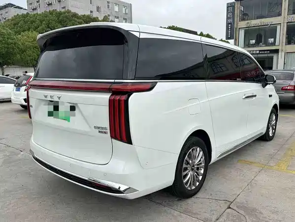 Wey Wey 2025