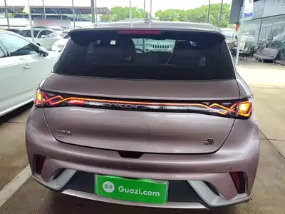 BYD Dolphin 2022
