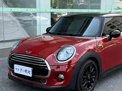 MINI MINI 2016