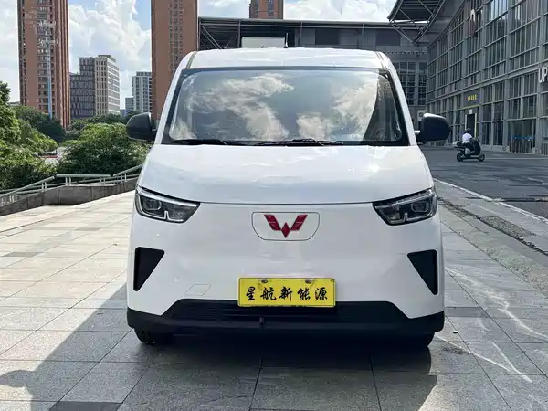 Wuling Yangguang 2024