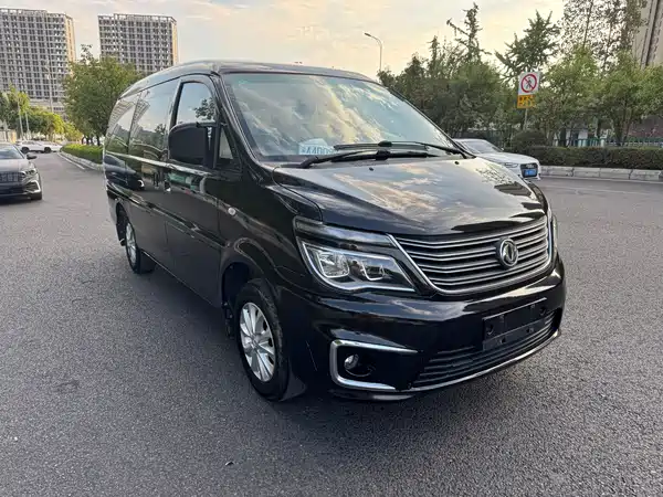 Dongfeng Lingzhi 2020