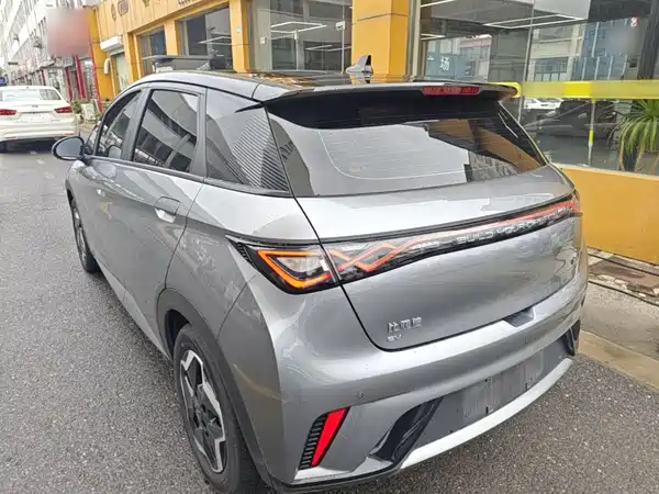 BYD Dolphin 2022