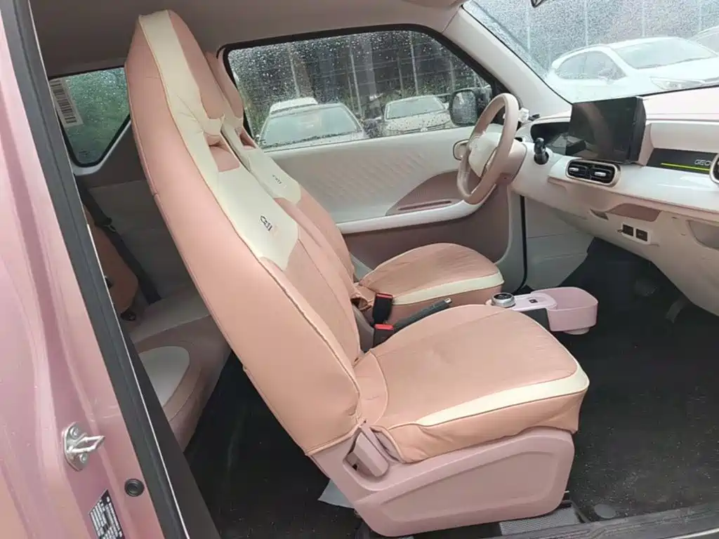 Geely Galaxy Panda 2025 — фото 25
