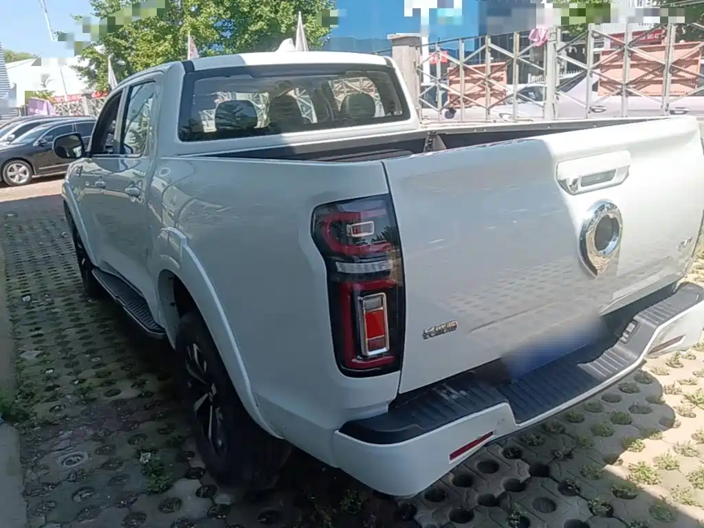 Great Wall Pao 2024
