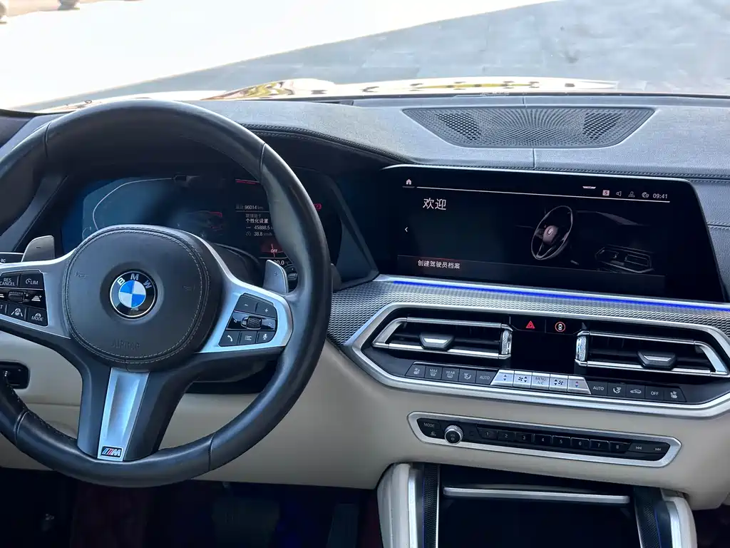 BMW X6 2021 — фото 17