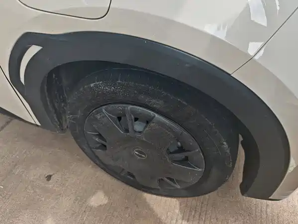 BYD Seagull 2024