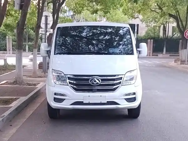 Maxus V80 2020