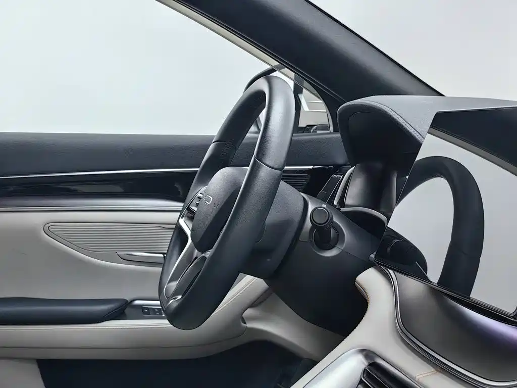 BYD Song PLUS New Energy 2024 — фото 22