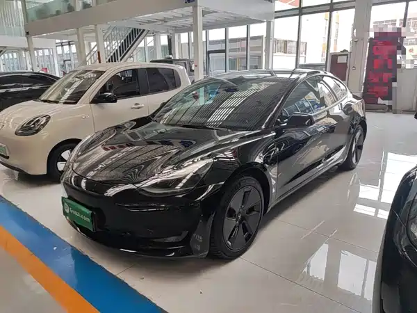 Tesla Model 3 2021