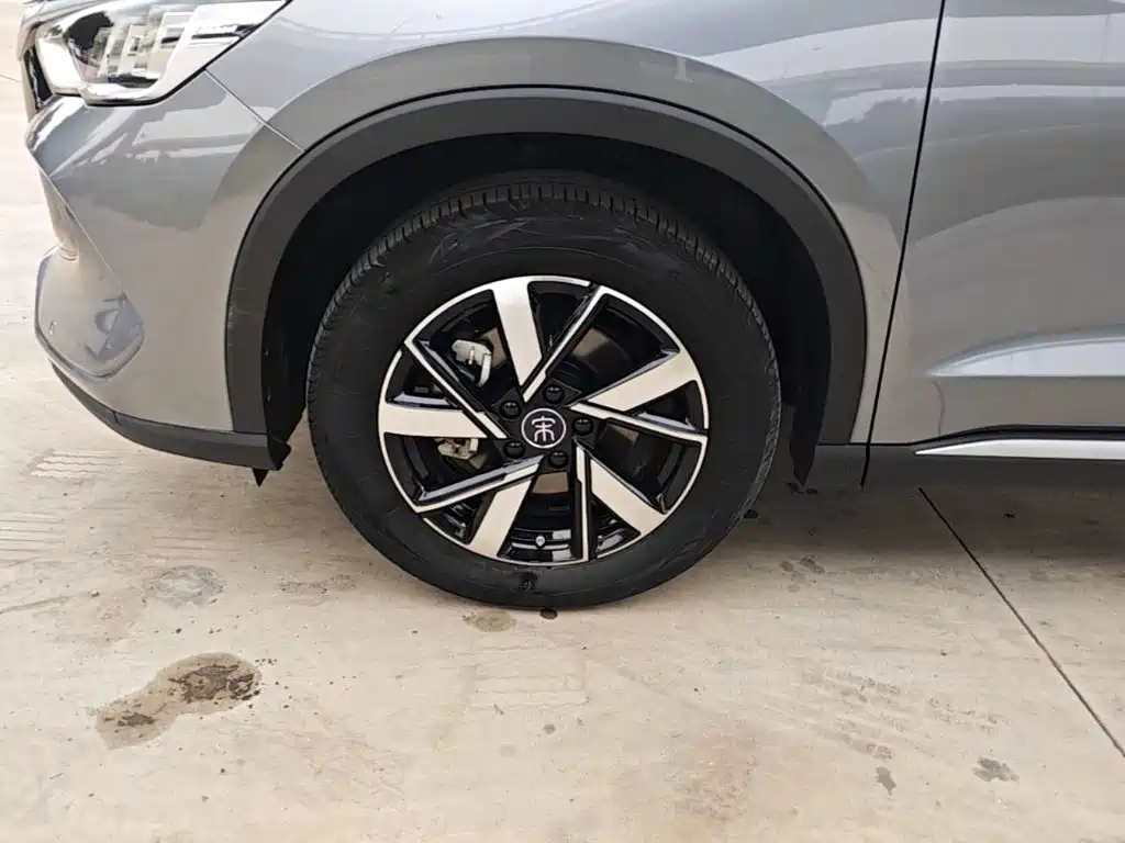 BYD Song Pro New Energy 2024 — фото 23