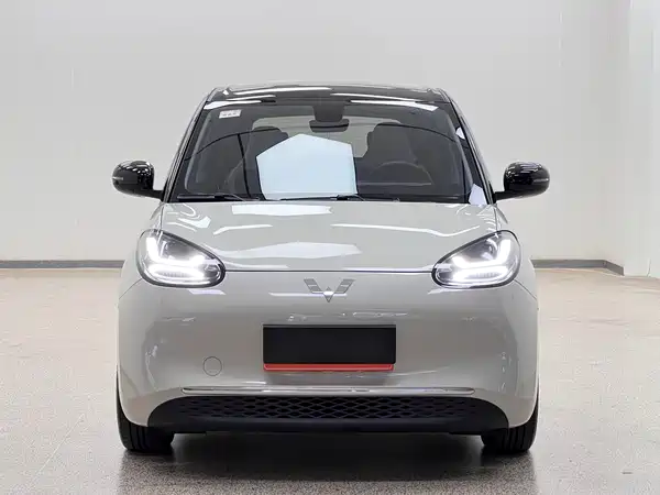 Wuling Bingo 2024