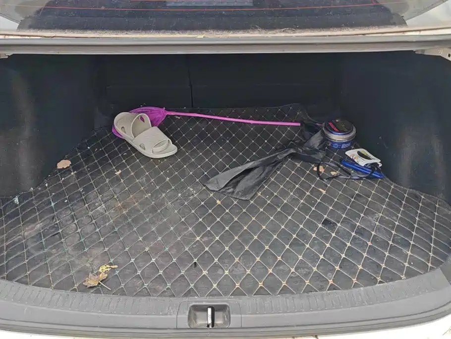Toyota Levin 2019