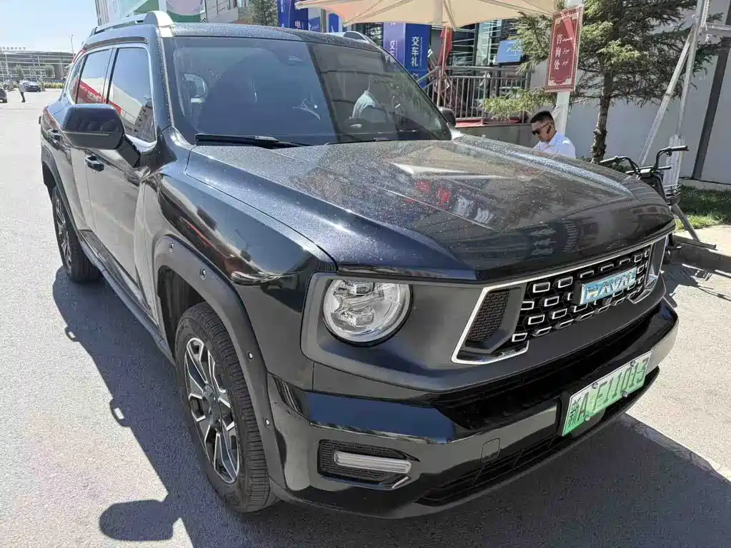 Haval Big Dog PLUS New Energy 2024 — фото 1