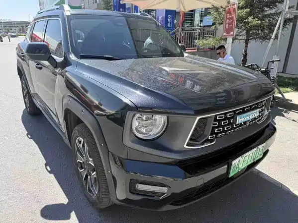 Haval Big Dog PLUS New Energy 2024