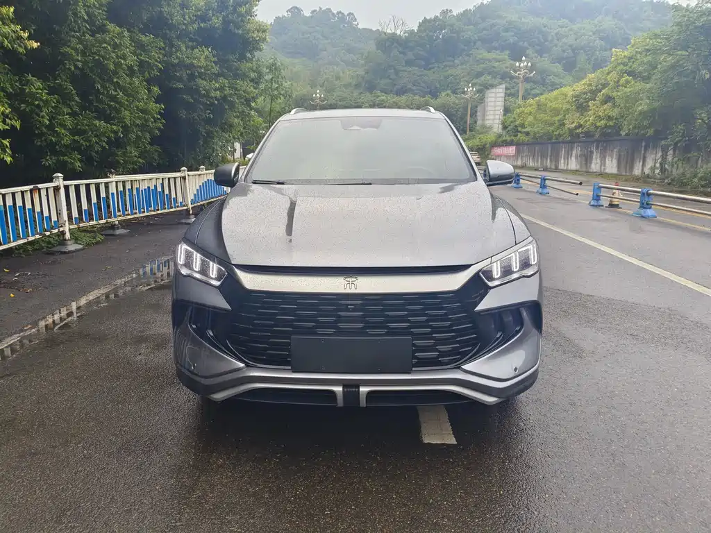 BYD Pro New Energy 2024 — фото 2