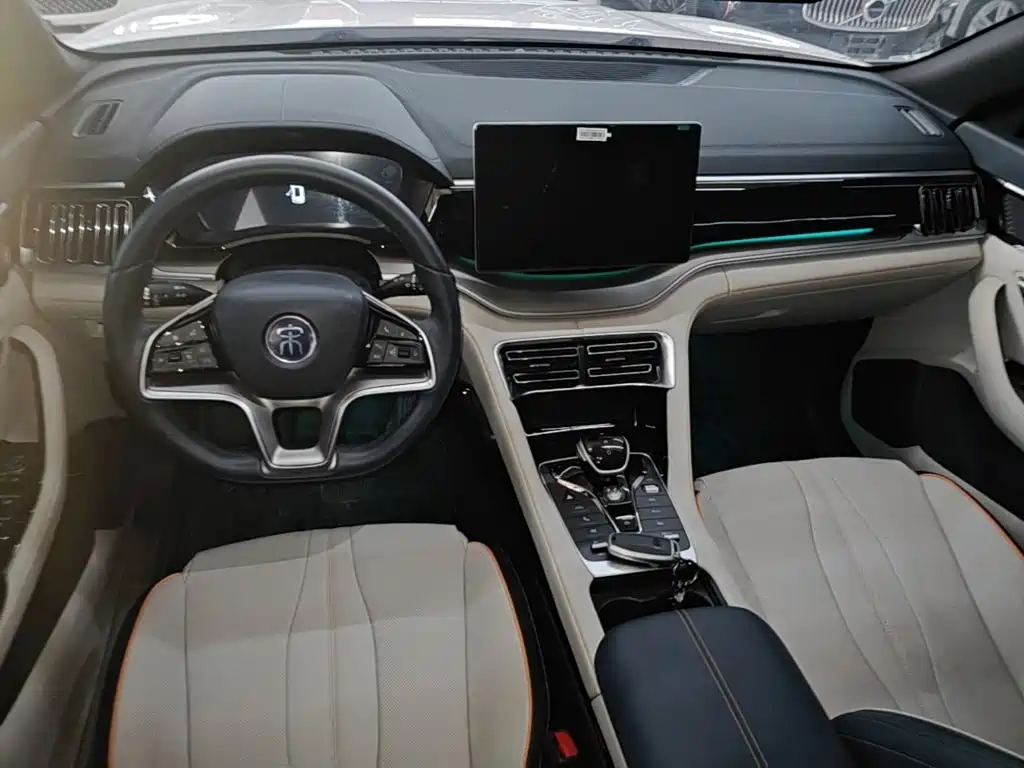 BYD PLUS New Energy 2023 — фото 6