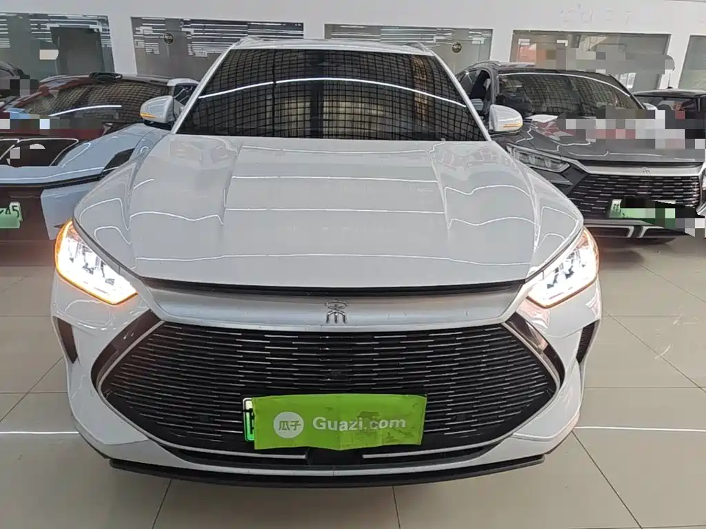 BYD PLUS New Energy 2023 — фото 3