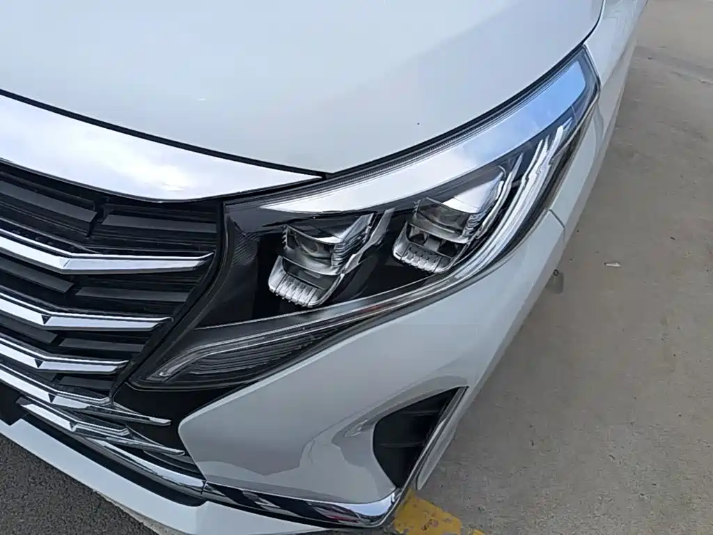 GAC Trumpchi M8 2022 — фото 18