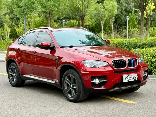 BMW X6 2010