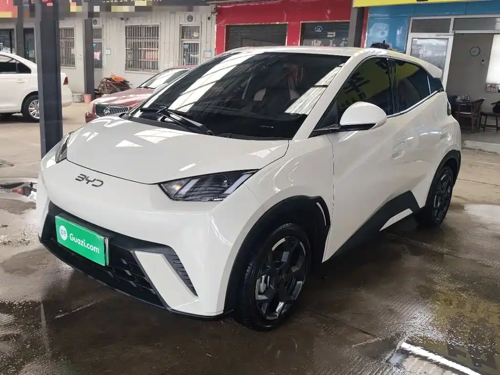 BYD Seagull 2025