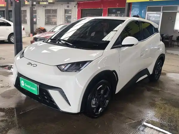 BYD Seagull 2025