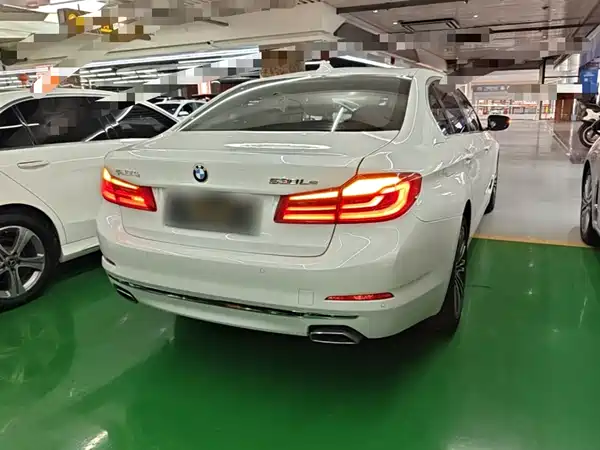 BMW 5 Series New Energy 2020